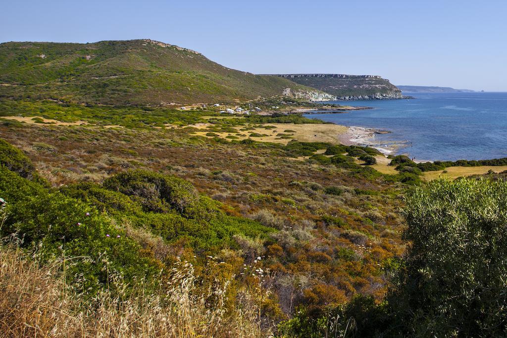 فيلا Residenza Solemar بوسا مارينا المظهر الخارجي الصورة